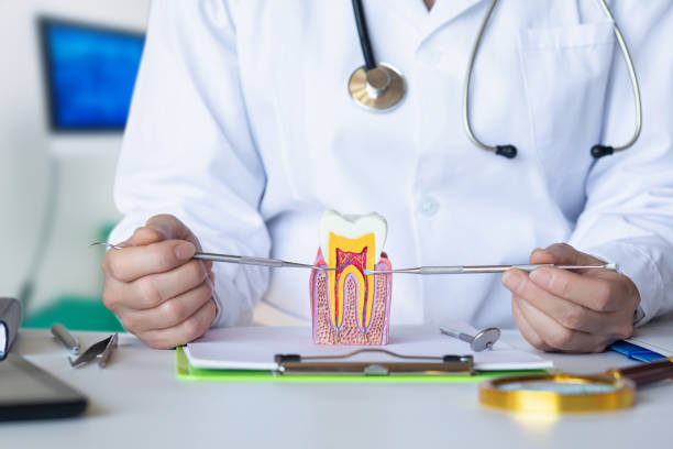 Best Emergency Dental Care for Abscessed Tooth in Fair Oaks, CA